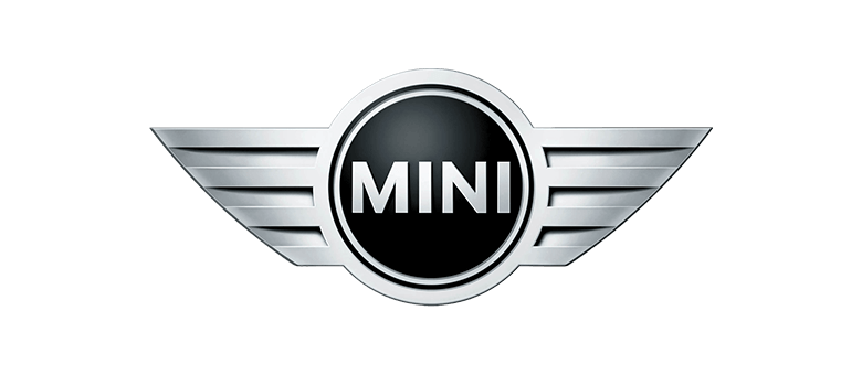 Falconer Auto Service and Repairs Mini Specialist Mechanic Dublin
